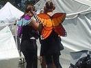 PrettyBeeflys