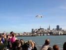 birdandboatcruise