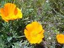 inbloom2