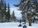 peeking at lake tahoe