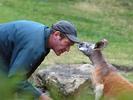 kangaroo talk
