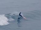 pismo-surfer-web